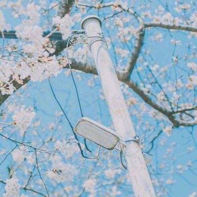 霸业遮天手游